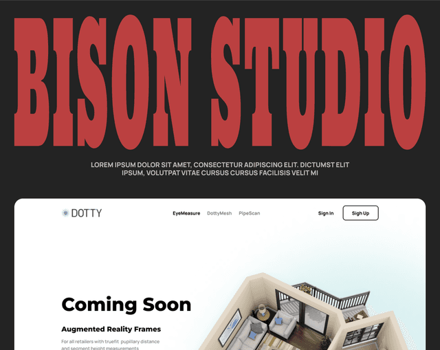 Bison studio